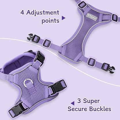 Small Dog Harness and Leash Set, Adjustable Small Sized Pet Vest - Image 3