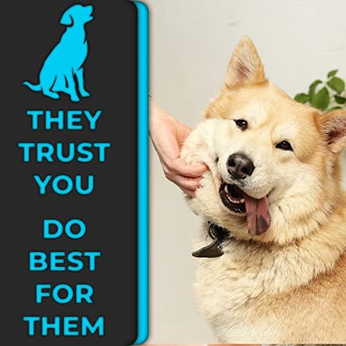 Pin Comb by H&H Pets - Image 7