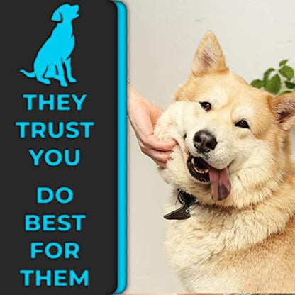 Pin Comb by H&H Pets - Image 7