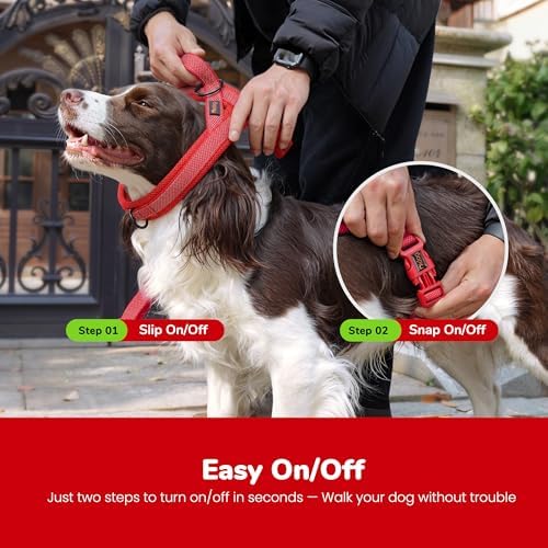 Didog No Pull Dog Harness for Medium Dogs, Breathable Mesh Padded - Image 4