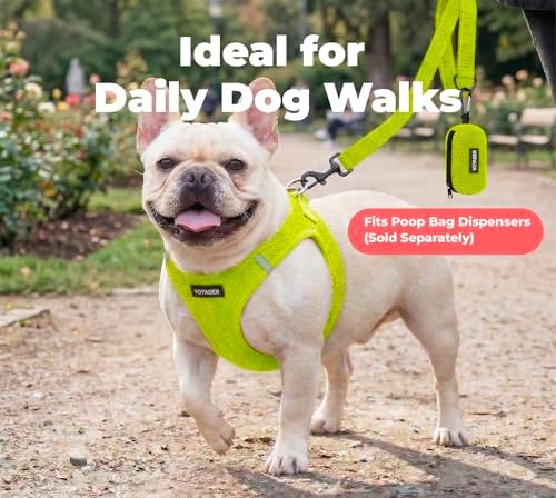 Best Pet Supplies Voyager Nylon Dog Leash - Image 3