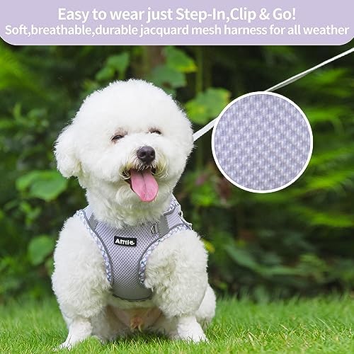 AIITLE Step in Dog Harness & Leash Set - Image 6