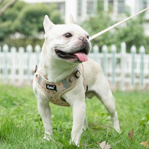 PUPTECK Dog Harness and Leash Set Medium Sized, Step in No Pull Adjustable - Image 5