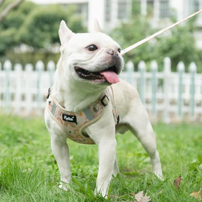 PUPTECK Dog Harness and Leash Set Medium Sized, Step in No Pull Adjustable - Image 5