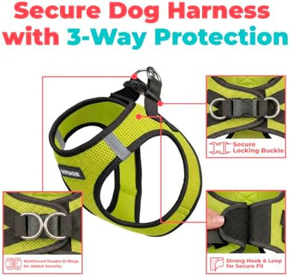 Voyager Step-in Air Dog Vest Harness - Image 2