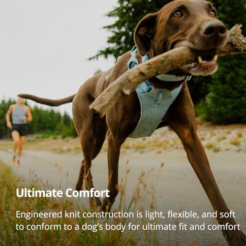 Ruffwear, Front Range Flex Dog Chest Harness, Rose Violet - Image 3