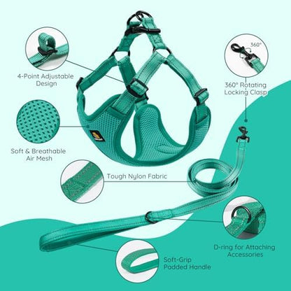 BELLA & PAL Adjustable Step-in Dog Harness, Puppy No-Pull Vest - Image 3