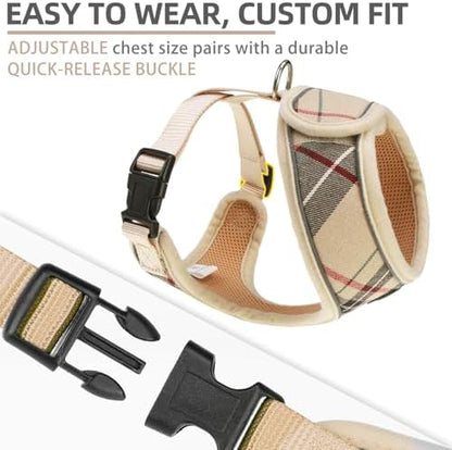 PUPTECK Small Dog Harness and Leash Set No Pull - Image 4