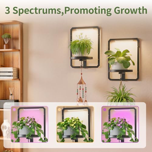 LASZOLA Plant Picture Frame Holder Shelf Wall - Image 4