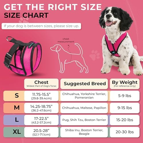 Gooby Comfort X Head-in Dog Harness, Choke-Free, Flamingo Pink - Image 3
