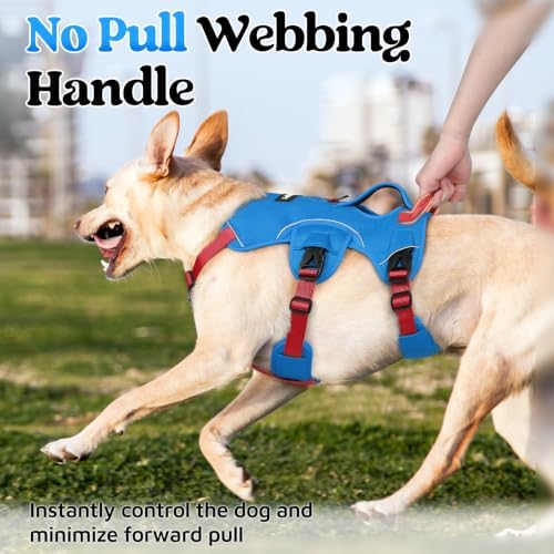 rabbitgoo Escape Proof Dog Harness - Image 4
