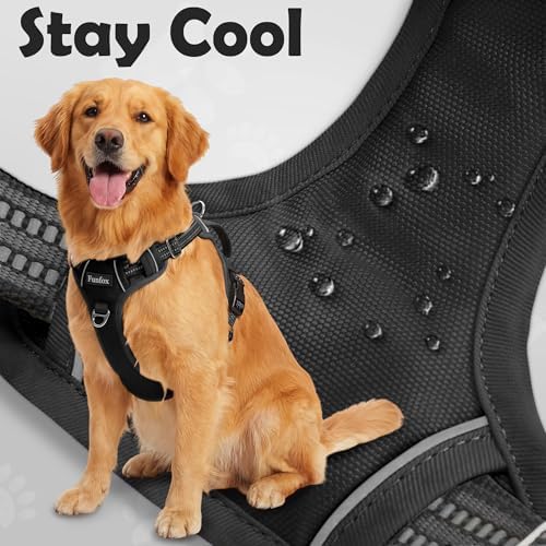 Funfox Dog Harness Small Sized Dog, Vertical Handle Easy Control, No Pull Pet - Image 5