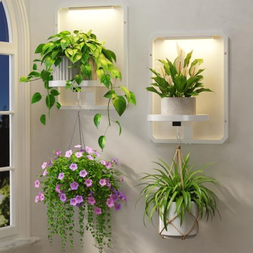 LASZOLA Plant Picture Frame Holder Shelf Wall by LASZOLA