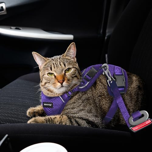 Cat Harness, Cat Harness and Leash - Image 5