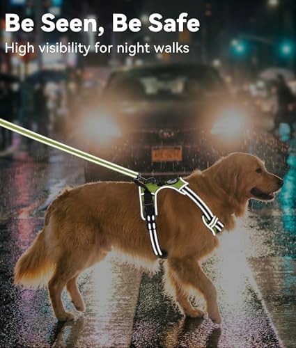 Joytale No Pull Dog Harness Medium Sized Dog, Front Clip - Image 5