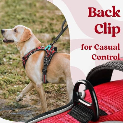 rabbitgoo Dog Harness for Large, Updated Easy On & Off - Image 5
