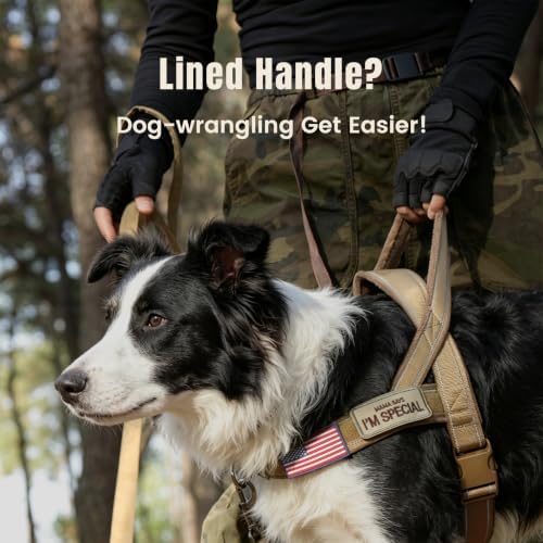 Forestpaw No Pull Dog Harness - Image 2