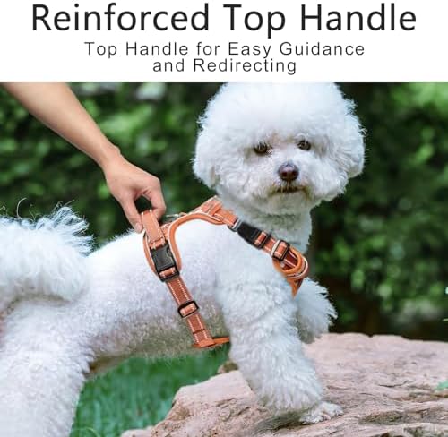 Timos Small Dog Harness, No Pull No Choke, Easy On & Off, Flower Orange - Image 6