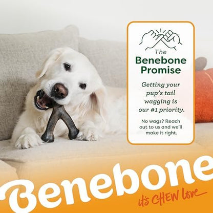 Benebone Wishbone Chew Toy for Aggressive Chewers, Pumpkin Spice - Image 7