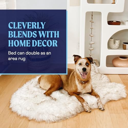 PAW Brands PupRug Orthopedic Memory Foam Dog Bed - Image 5