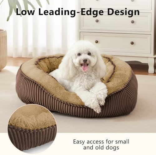 Dog Beds for Medium Small Dogs, Washable Pet Bed - Image 5