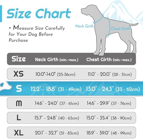 Eagloo Dog Harness for Small Dogs, No Pull Pet Vest - Image 2