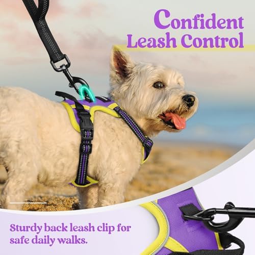 rabbitgoo Dog Harness, No Pull for Small Dogs - Image 6