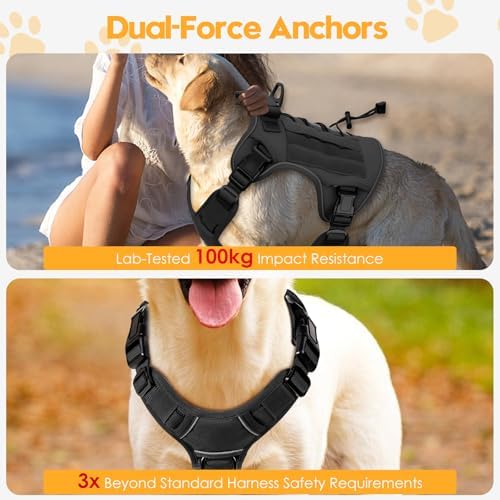 Heavy-Duty Tactical Dog Harness - Image 4