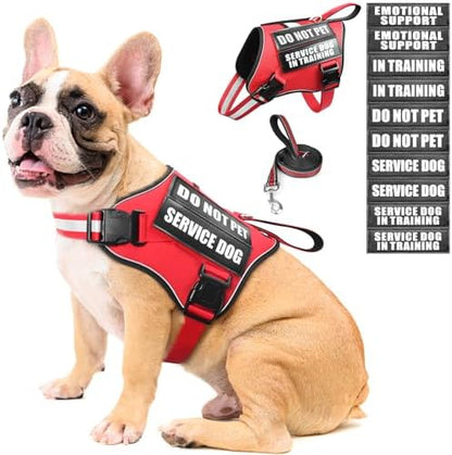 Service Dog Vest Harness and Leash Set+10 Patches, No Pull&Adjustable by MOOGROUPETSFRIEND
