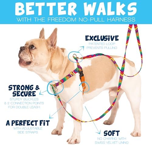 2 Hounds Design Freedom No Pull Dog Harness and Leash, 5/8" XS - Image 2