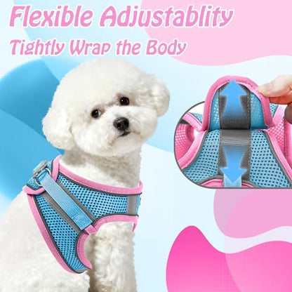 AIITLE Medium Dog Harness and Leash Set, Step-in Puppy Pet Vest - Image 5
