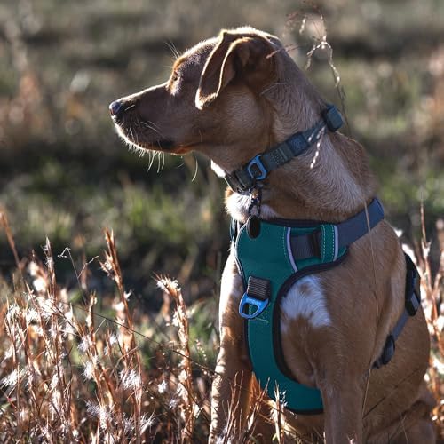 Embark No Pull Dog Harness, Reflective Adjustable Training Vest, No Choke - Image 3