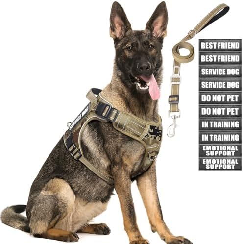 Tactical Dog Harness and Leash Set by MOOGROUPETSFRIEND