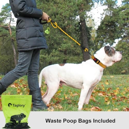 Taglory Rope Dog Leash for Medium Large Dogs, 4 FT Padded Handle - Image 2