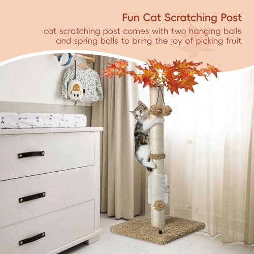 MECOOL Cat Scartching Post，30-inch Cute Scartching Posts - Image 3