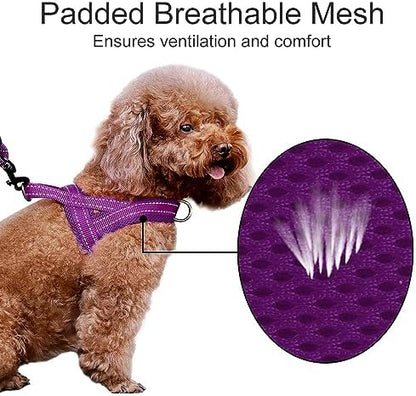 Plutus Pet No Pull Dog Harness for Large Dogs, Breathable Mesh Padded - Image 3