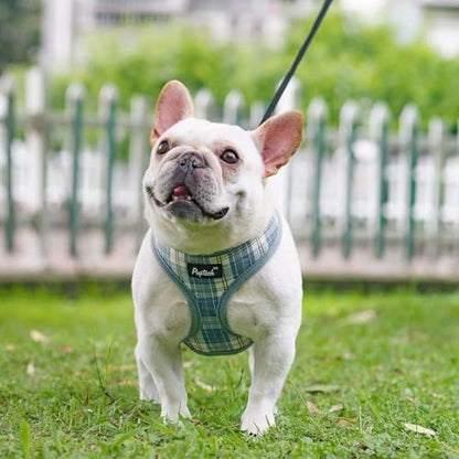 PUPTECK Small Dog Harness and Leash Set No Pull - Image 6