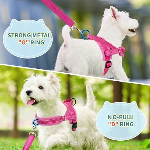 SlowTon No Pull Small Dog Harness and Leash Set - Image 4