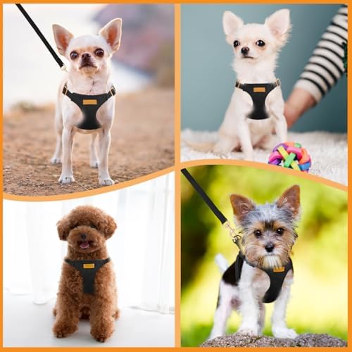 SlowTon No Pull Dog Harness - Image 7