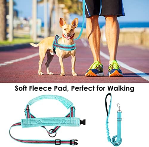 Lukovee Small Dog Harness and Leash Set, No Pull Soft Padded Vest - Image 3