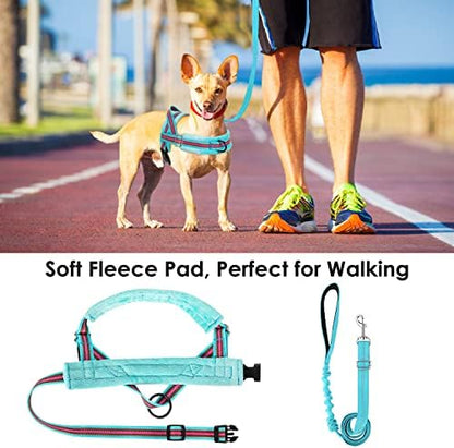 Lukovee Small Dog Harness and Leash Set, No Pull Soft Padded Vest - Image 3