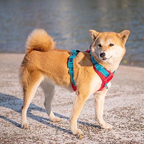 PHOEPET No Pull Dog Harness, Unique Colors Reflective Adjustable Dog Vest - Image 3