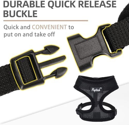 PUPTECK Small Dog Harness and Leash Set No Pull - Image 4