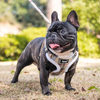 PUPTECK Dog Harness and Leash Set Medium Sized, Step in No Pull Adjustable - Image 5