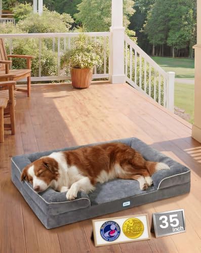 OhGeni Orthopedic Medium Large Dog Bed Sofa, Memory Foam by OhGeni