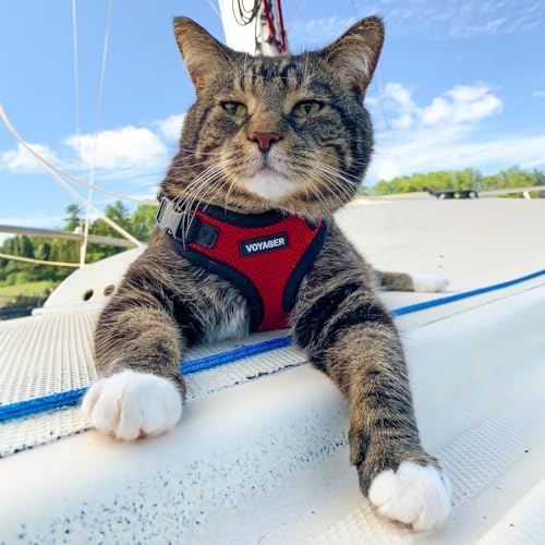 Voyager Step-in Lock Cat Harness & Leash Set - Image 6