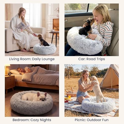 JOLLYVOGUE Small Dog Bed, Calming Dog Beds - Image 6