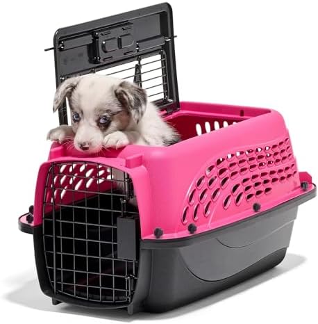 Petmate Two Door Plastic Pet Kennel, XS 19in by Petmate
