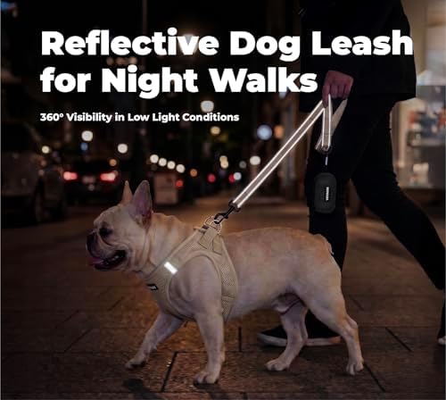 Best Pet Supplies Voyager Nylon Dog Leash - Image 4