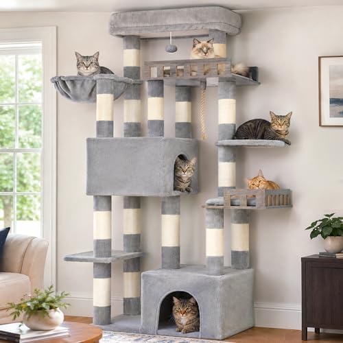 Gitelsnour Maine Coon Cat Tree, Heavy Duty Cat Tower by Gitelnour